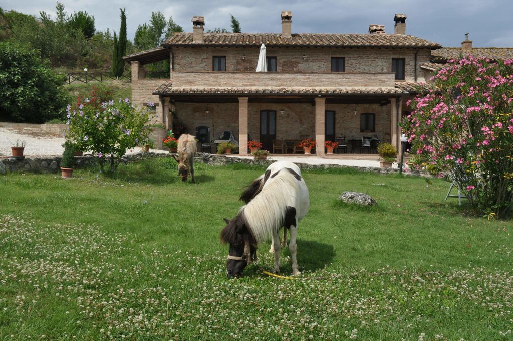 Farm Stay Il Carro Del Colle Коллеваленца Экстерьер фото