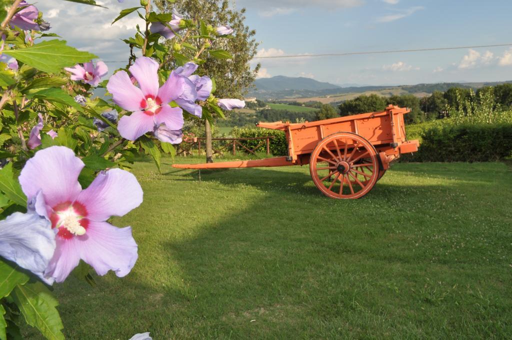 Farm Stay Il Carro Del Colle Коллеваленца Экстерьер фото