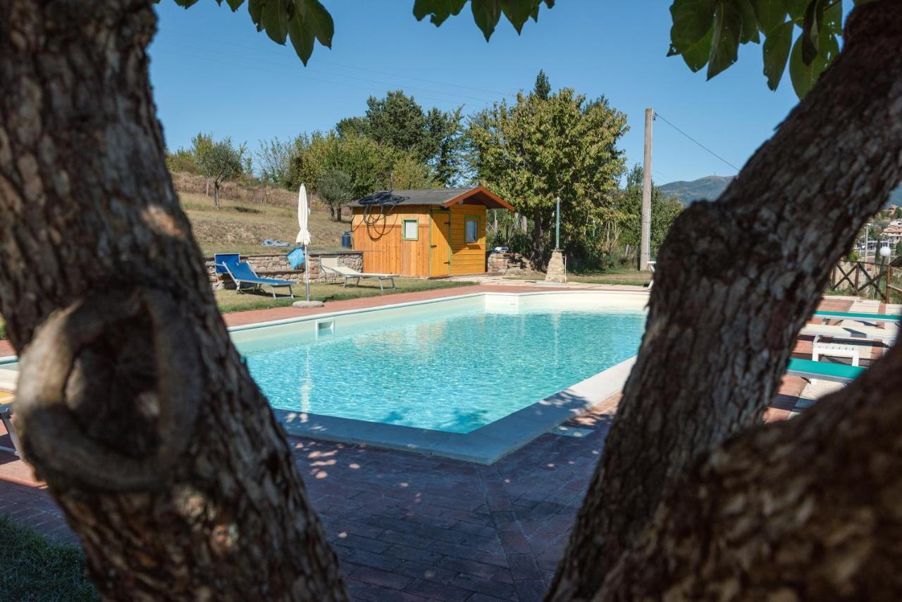 Farm Stay Il Carro Del Colle Коллеваленца Экстерьер фото